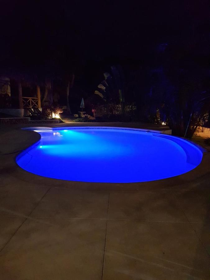 Casa Flamingo Vila Las Terrenas Exterior foto