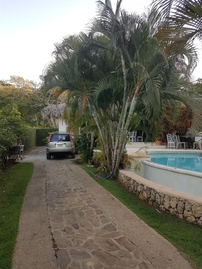 Casa Flamingo Vila Las Terrenas Exterior foto