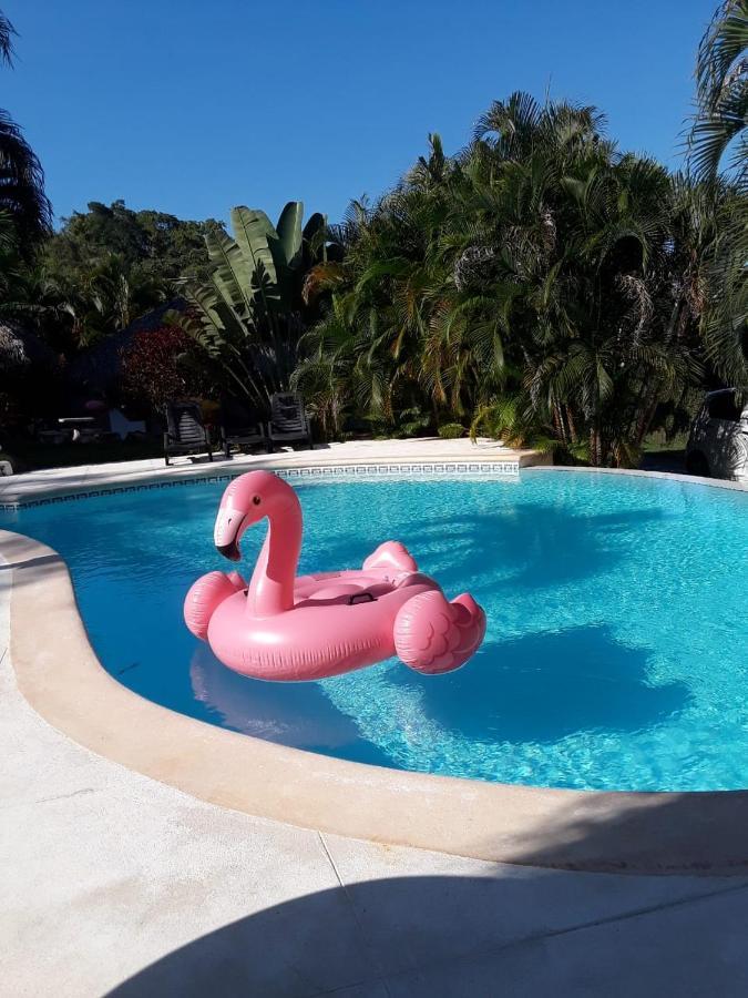 Casa Flamingo Vila Las Terrenas Exterior foto